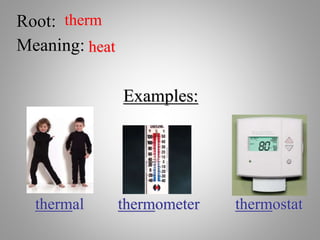 Root: therm
Meaning: heat
Examples:
thermal thermometer thermostat
 