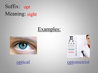 Suffix: opt
Meaning: sight
Examples:
optical optometrist
 
