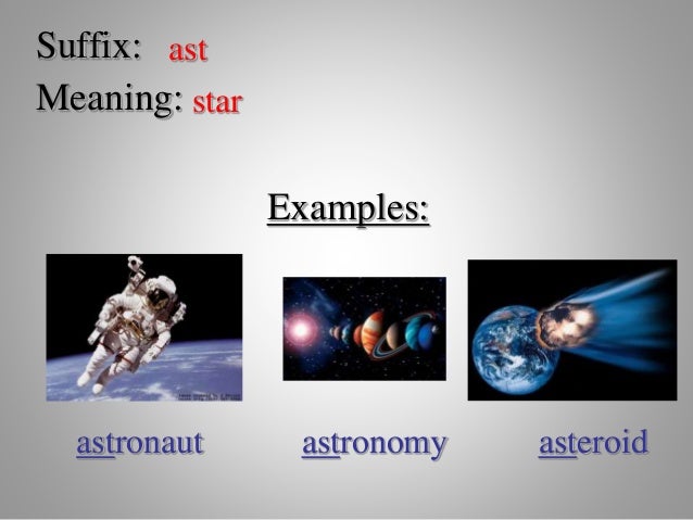 meaning in biology biography affixes roots suffixes point Introduce power prefixes meaning in biology biography affixes roots suffixes point Introduce power prefixes