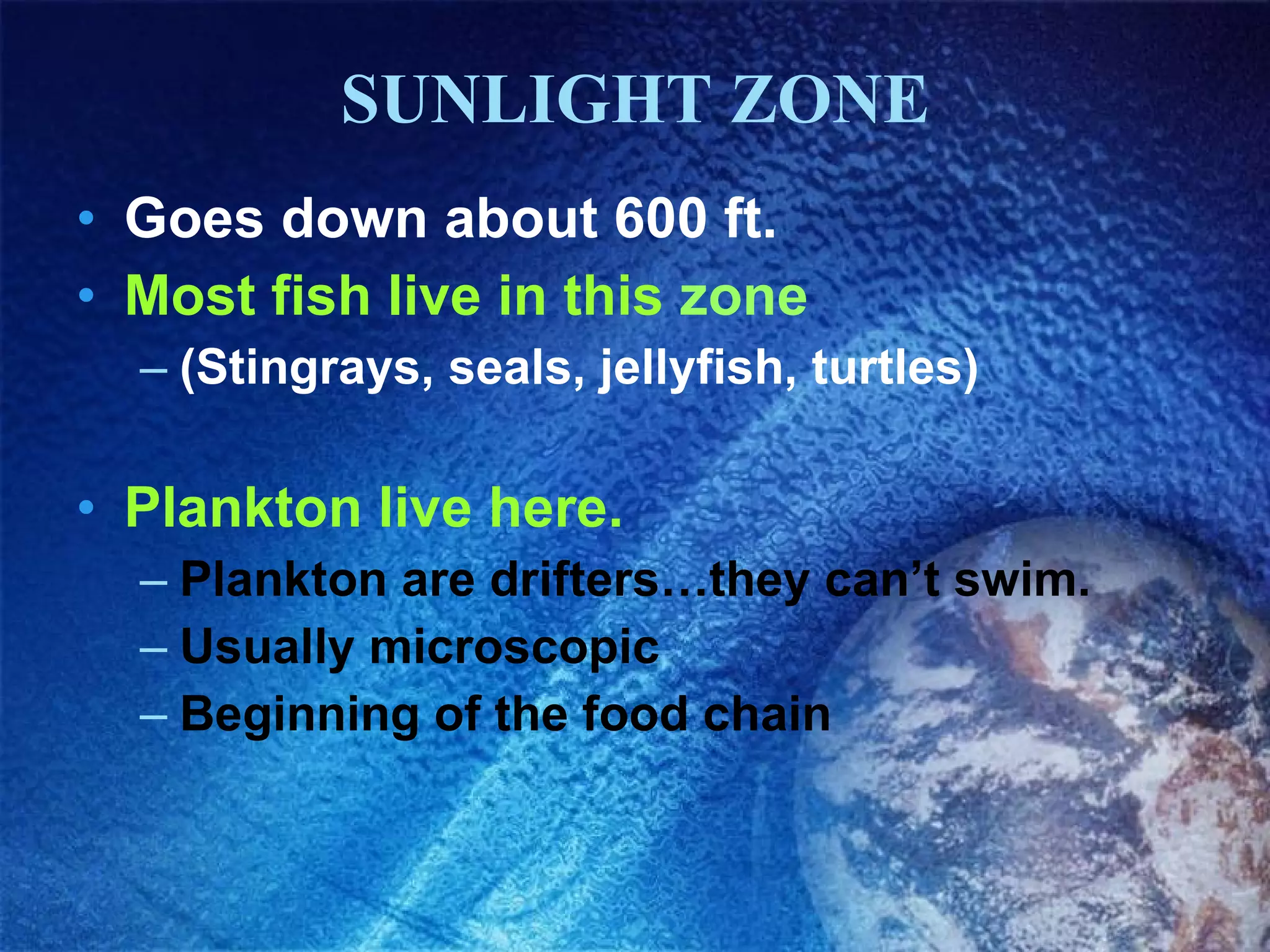 SUNLIGHT ZONE Goes down about 600 ft. Most fish live in this zone (Stingrays, seals, jellyfish, turtles) Plankton live here. Plankton are drifters…they can’t swim. Usually microscopic Beginning of the food chain