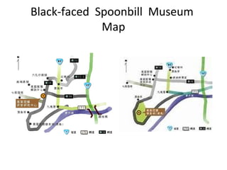 Black-faced Spoonbill Museum
Map
 