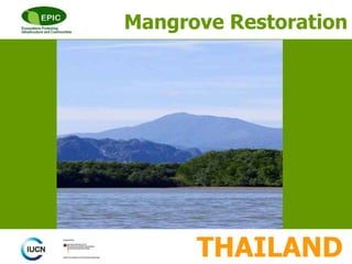 THAILAND
Mangrove Restoration
 