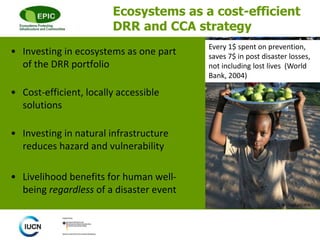 Ecosystems as a cost-efficient
DRR and CCA strategy
• Investing in ecosystems as one part
of the DRR portfolio
• Cost-efficient, locally accessible
solutions
• Investing in natural infrastructure
reduces hazard and vulnerability
• Livelihood benefits for human well-
being regardless of a disaster event
© M. Deghati/IRIN
Every 1$ spent on prevention,
saves 7$ in post disaster losses,
not including lost lives (World
Bank, 2004)
 