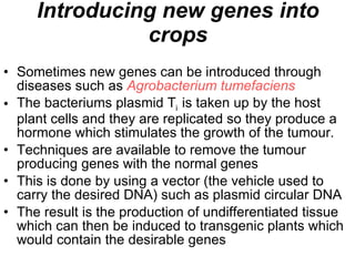 Introducing new genes into crops ,[object Object],[object Object],[object Object],[object Object],[object Object]