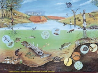 Lake ecosystem: Source: Georgia Department of Natural Resources
Wikipedia: “An ecosystem is a community of living organisms (plants, animals and microbes) in conjunction with the nonliving components of their
environment (things like air, water and mineral soil), interacting as a system.[2]. “. Usually natural ecosystems are taken as a model for forms of
sustainability. Like for example aquatic ecosystems. There’s a tension between chaos and an equilibrium like entropy and energy. Sustainability
sort of comes natural with FOSS: software is created as needed by users or developers (itches) i.s.o. a marketing strategy (apps!!). It is harder to
produce excess. “Sustainable FOSS projects” is another matter, often still problematic, but with the Cloud as enabler we ﬁnd more and more
opportunities like crowd funding.
 