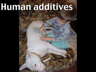 Human additives




This is why we need humans. By enriching our content with structured, easier to parse data we make
it ...