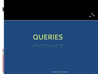 Polymerase Chain Reaction 