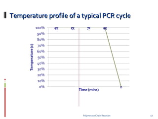 Temperature profile of a typical PCR cycle Polymerase Chain Reaction 