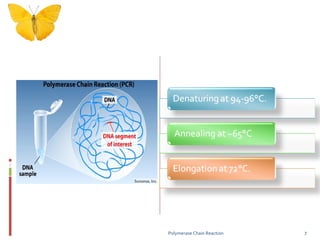 Procedure - Polymerase Chain reaction Polymerase Chain Reaction 