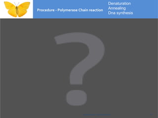 Procedure - Polymerase Chain reaction Polymerase Chain Reaction Denaturation Annealing Dna synthesis 