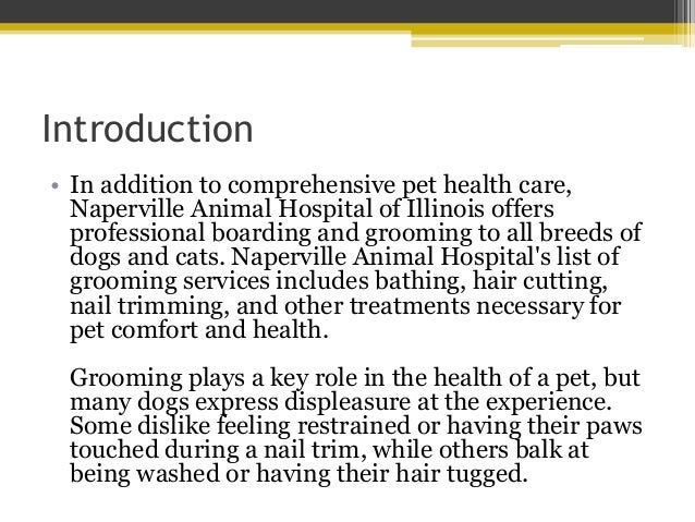 Introducing a Dog to the Grooming Process