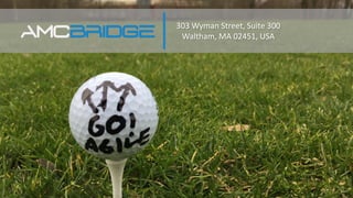 303 Wyman Street, Suite 300
Waltham, MA 02451, USA
 