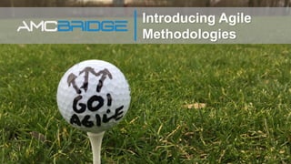 Introducing Agile
Methodologies
 