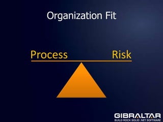 Organization Fit


Process          Risk
 