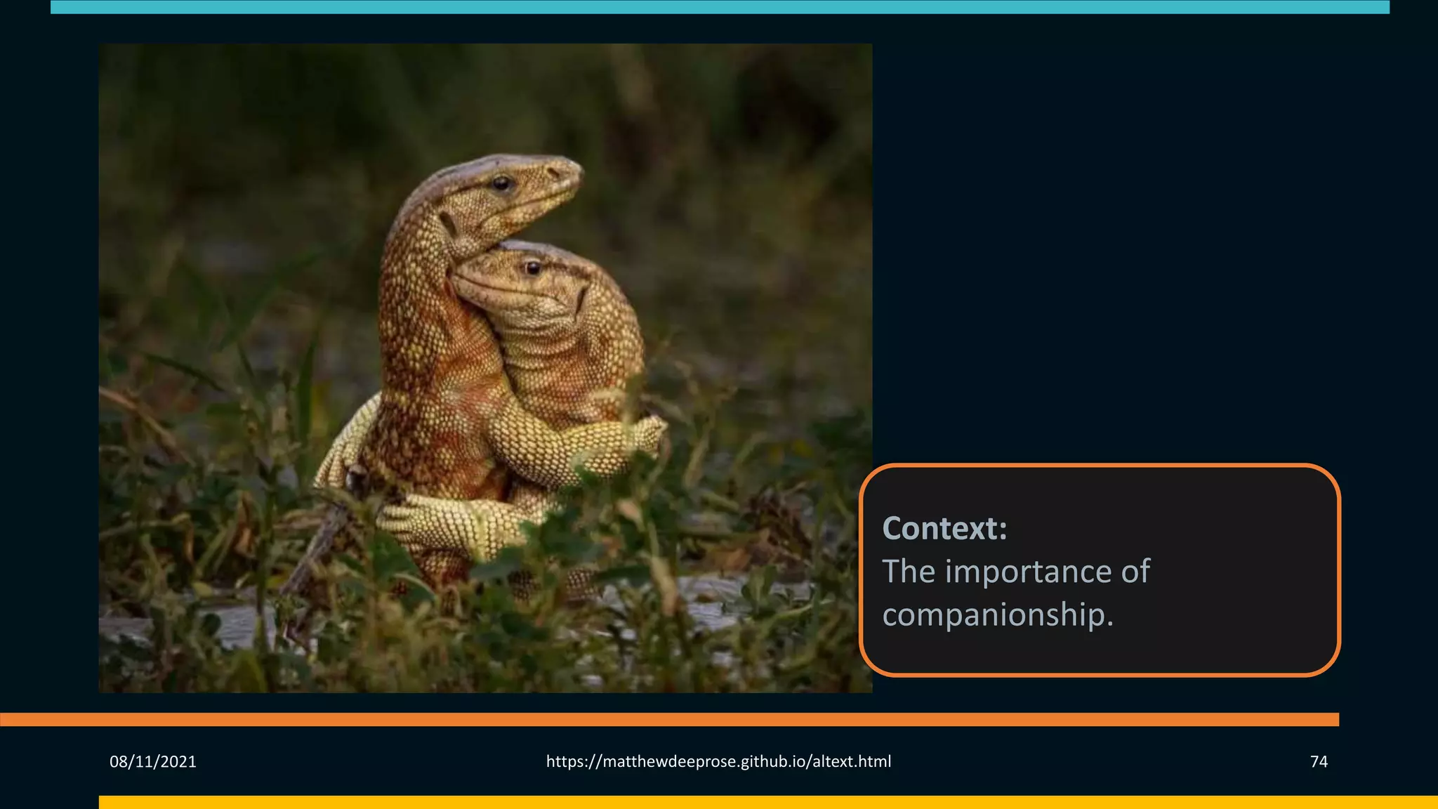 08/11/2021 https://matthewdeeprose.github.io/altext.html 74
Context:
The importance of
companionship.
 