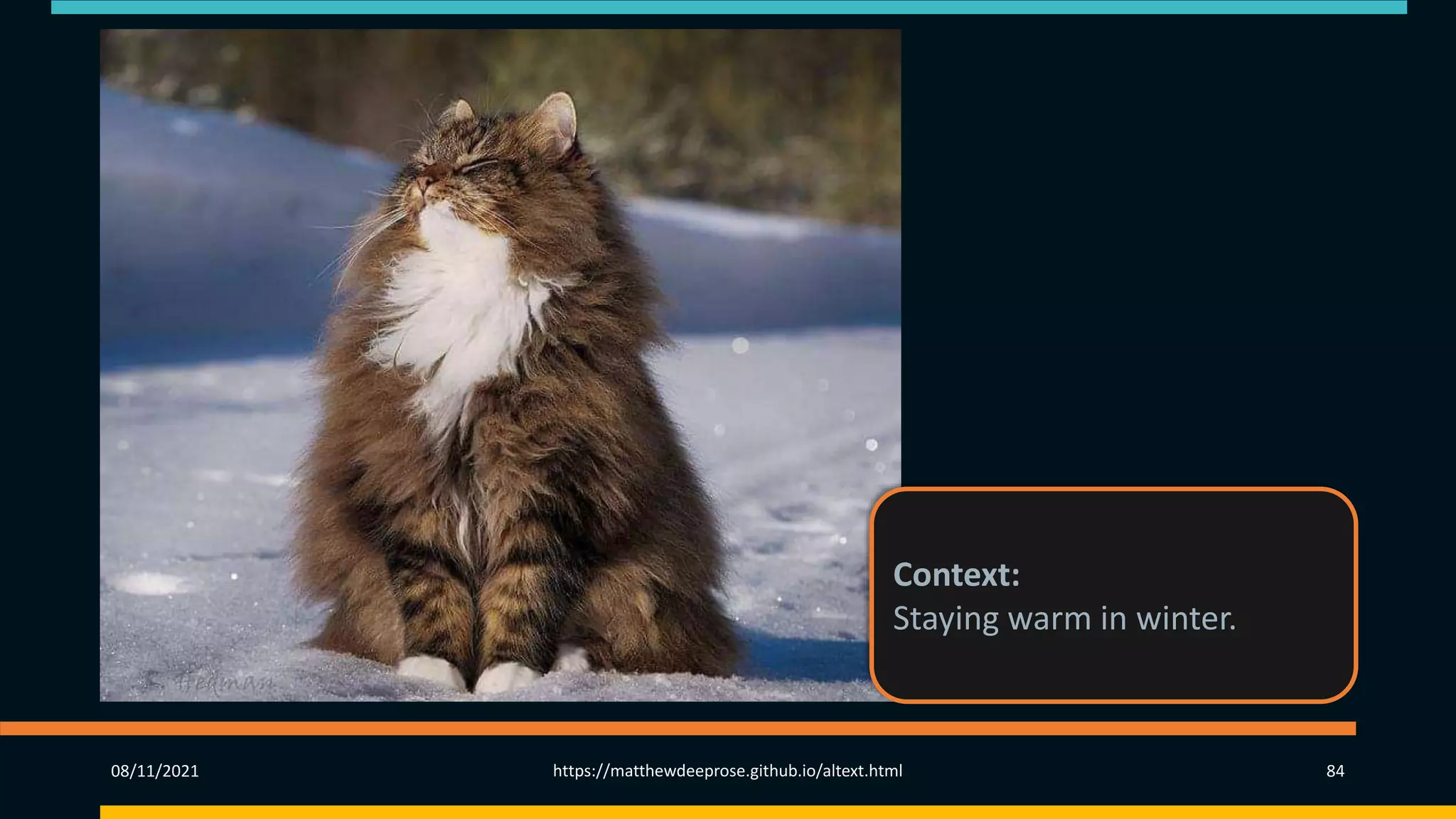 08/11/2021 https://matthewdeeprose.github.io/altext.html 84
Context:
Staying warm in winter.
 