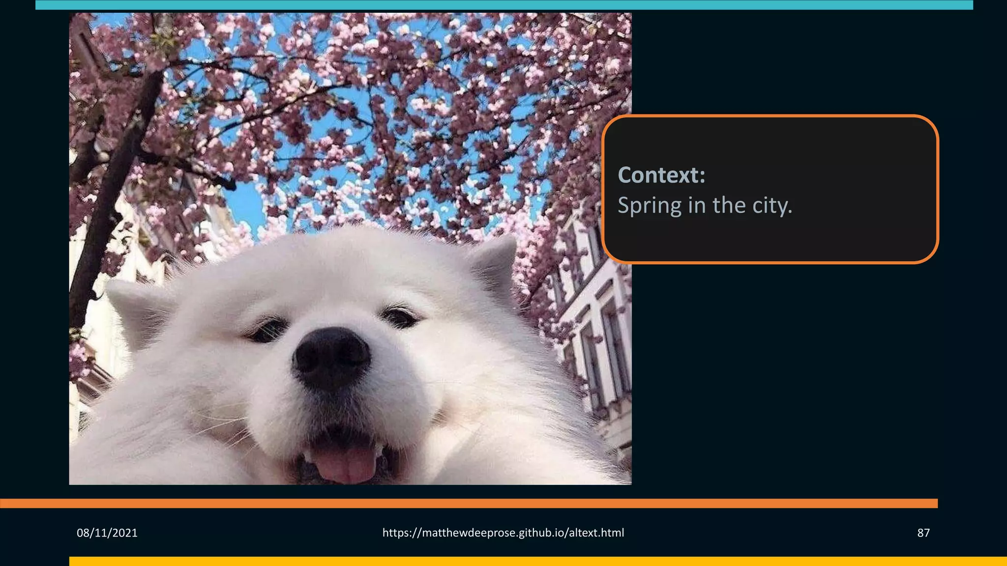 08/11/2021 https://matthewdeeprose.github.io/altext.html 87
Context:
Spring in the city.
 