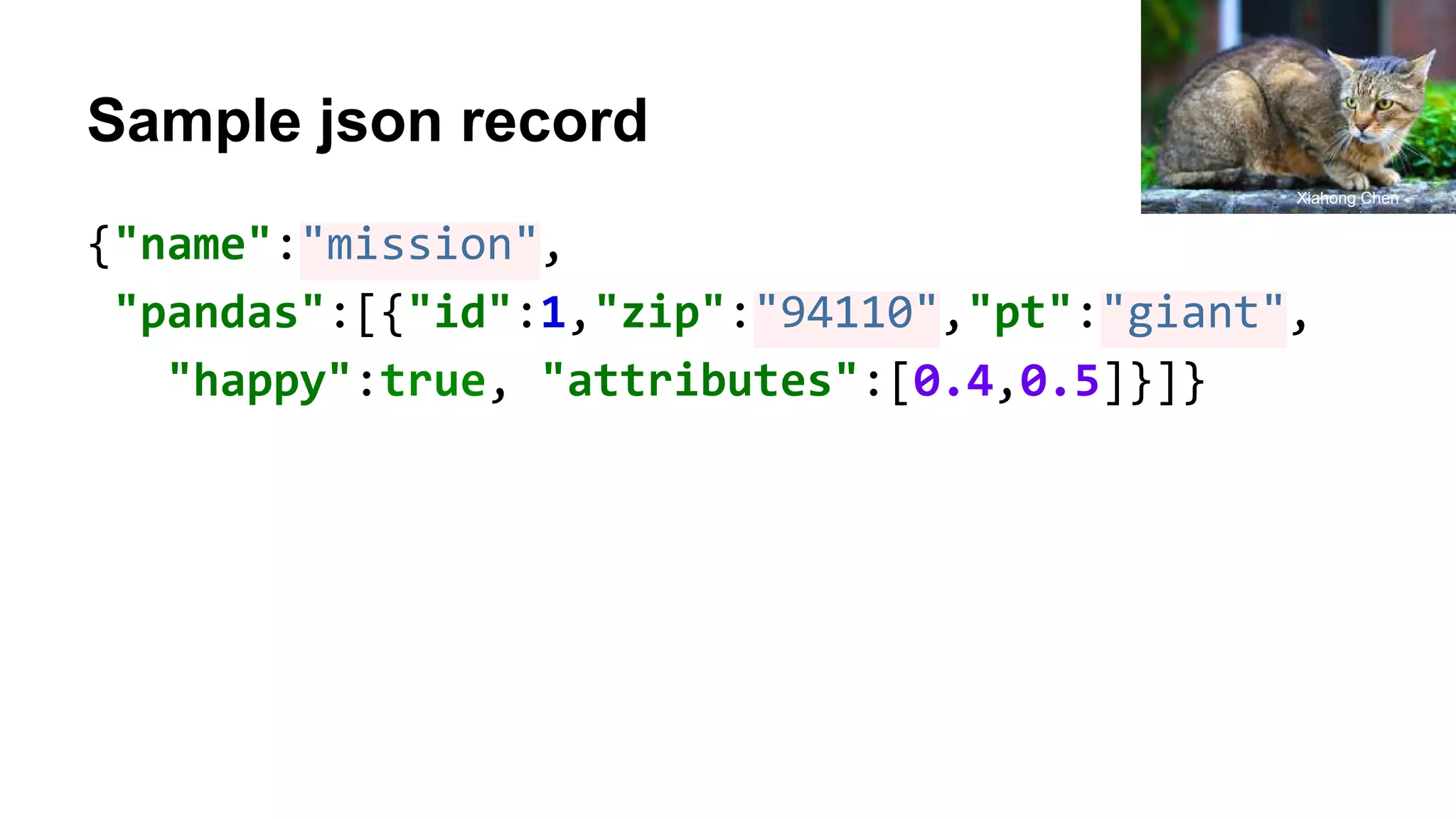 Sample json record {"name":"mission", "pandas":[{"id":1,"zip":"94110","pt":"giant", "happy":true, "attributes":[0.4,0.5]}]} Xiahong Chen 