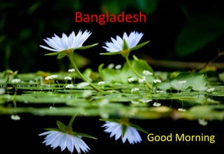 Bangladesh
Good Morning
 