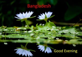 Bangladesh
Good Evening
 
