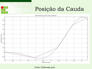 Posição da Cauda
Fonte: Elaborado pelo
 