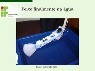 Peixe finalmente na água
Fonte: elaborado pelo
 