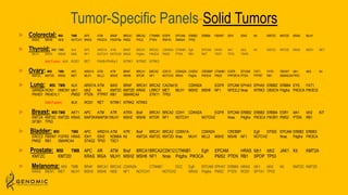 Tumor-Specific Panels-Solid Tumors
 Colorectal: MSI TMB APC ATM BRAF BRCA1 BRCA2 CTNNB1 EGFR EPCAM ERBB2 ERBB4 FBXW7 IDH1 IDH2 Kit KMT2C KMT2D KRAS MLH1
MSH2 MSH6 NEB NOTCH1 NRAS PIK3CA PDGFRa PMS2 POLE PTEN RNF43 SMAD4 TP53
 Thyroid: MSI TMB ALK APC ARID1A ATM BRAF BRCA1 BRCA2 CDKN2A CTNNB1 Egfr EPCAM HRAS Idh1 Idh2 Kit KMT2C KMT2D KRAS MEN1 MET
MLH1 MSH2 MSH6 NEB NF1 NOTCH1 NOTCH2 NRAS Pdgfra PIK3CA PMS2 PTEN RB1 RET TERT TP53 TSHR.
Add Fusion: ALK ROS1 RET PAX8-PPARγ1 NTRK1 NTRK2 NTRK3
 Ovary: MSI TMB APC ARID1A ATM ATR BRAF BRCA1 BRCA2 CDK12 CDKN2A CHEK2 CREBBP CTNNB1 EGFR EPCAM FAT1 FAT4 FBXW7 Idh1 Idh2 Kit
KMT2C KMT2D KRAS MET MLH1 MLL2 MSH2 MSH6 MTOR NF1 NOTCH2 NRAS Pdgfra PIK3CA PMS2 PPP2R1A PTEN PTPRT RB1 SMARCA4TP53
 Lung: MSI TMB ALK ARID1A ATM BAI3 BRAF BRCA1 BRCA2 CACNA1E CDKN2A EGFR EPCAM EPHA3 EPHA5 ERBB2 ERBB4 EYS FAT1
GRIN2A HCN1 HMCN1 Idh1 Idh2 Kit KMT2C KMT2D KRAS LRRC7 MET MLH1 MSH2 MSH6 NF1 NFE2L2 Nras NTRK3 OBSCN Pdgfra PIK3CA PIK3CG
PKHD1 PKHD1L1 PMS2 PTEN PTPRT RB1 SMARCA4 STK11 TP53
Add Fusion: ALK ROS1 RET NTRK1 NTRK2 NTRK3
 Breast: MSI TMB AKT1 APC ATM ATR ATRX Braf BRCA1 BRCA2 CDH1 CDKN2A EGFR EPCAM ERBB2 ERBB3 ERBB4 ESR1 Idh1 Idh2 KIT
KMT2A KMT2C KMT2D KRAS MAP2K4MAP3K1MLH1 MSH2 MSH6 MTOR NF1 NOTCH1 NOTCH2 Nras Pdgfra PIK3CA PIK3R1 PMS2 PTEN RB1
SF3B1 TP53
 Bladder: MSI TMB APC ARID1A ATM ATR Braf BRCA1 BRCA2 CDKN1A CDKN2A CREBBP Egfr EP300 EPCAM ERBB2 ERBB3
ERCC2 FBXW7 FGFR3 HRAS IDH1 IDH2 KDM6A Kit KMT2A KMT2C KMT2D Kras MLH1 MLL2 MSH2 MSH6 NF1 NOTCH2 Nras Pdgfra PIK3CA
PMS2 RB1 SMARCA4 STAG2 TP53 TSC1
 Prostate: MSI TMB APC AR ATM Braf BRCA1BRCA2CDK12CTNNB1 Egfr EPCAM HRAS Idh1 Idh2 JAK1 Kit KMT2A
KMT2C KMT2D KRAS MGA MLH1 MSH2 MSH6 NF1 Nras Pdgfra PIK3CA PMS2 PTEN RB1 SPOP TP53
 Melanoma: MSI TMB BRAF BRCA1 BRCA2 CDKN2A CTNNB1 DCC Egfr EPCAM EPHA7 ERBB4 HRAS Idh1 Idh2 Kit KMT2C KMT2D
KRAS MEN1 MET MLH1 MSH2 MSH6 NEB NF1 NOTCH1 NOTCH2 NRAS Pdgfra PMS2 PTEN ROS1 SPTA1 TP53
 