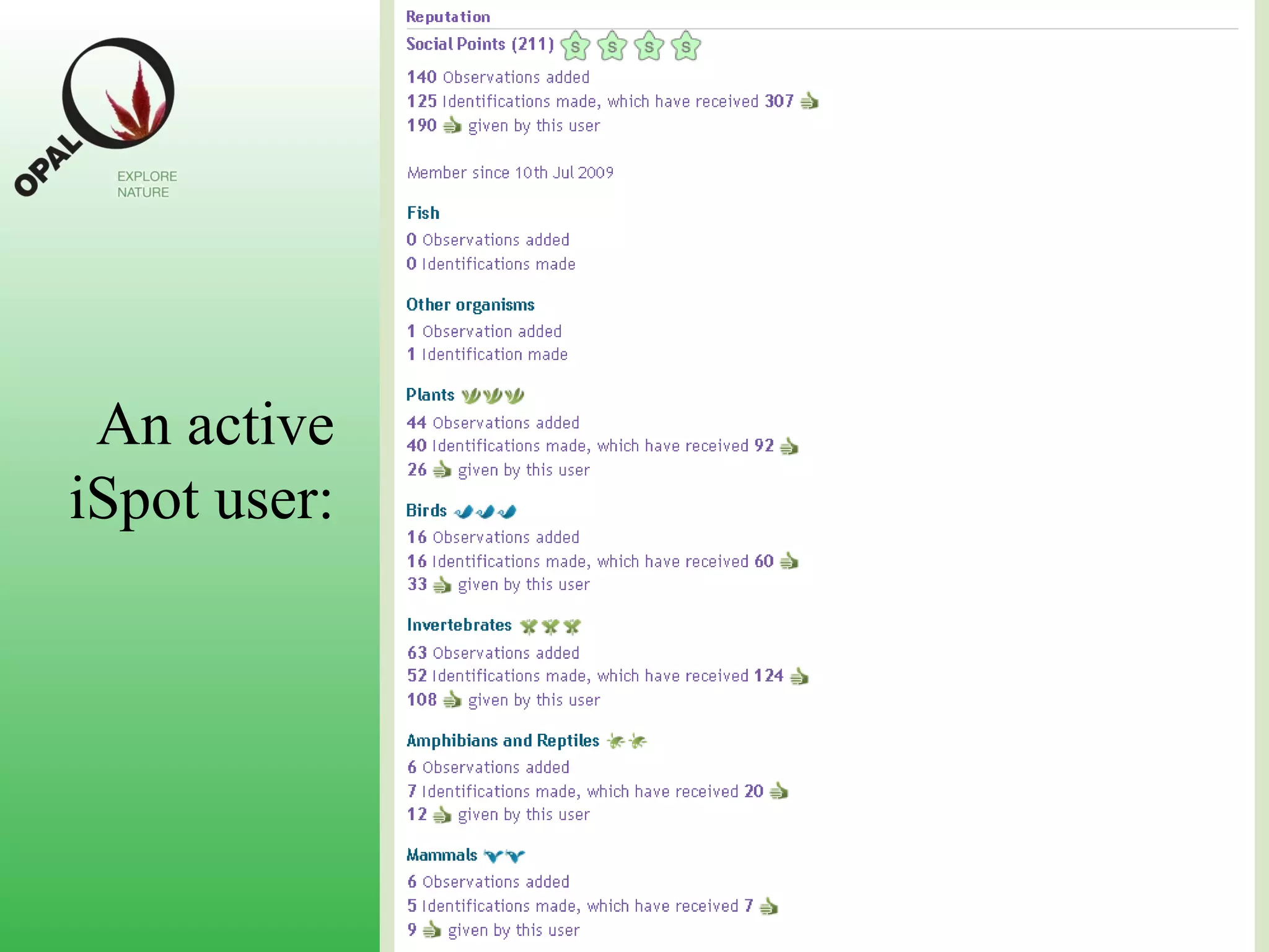 An active iSpot user: 