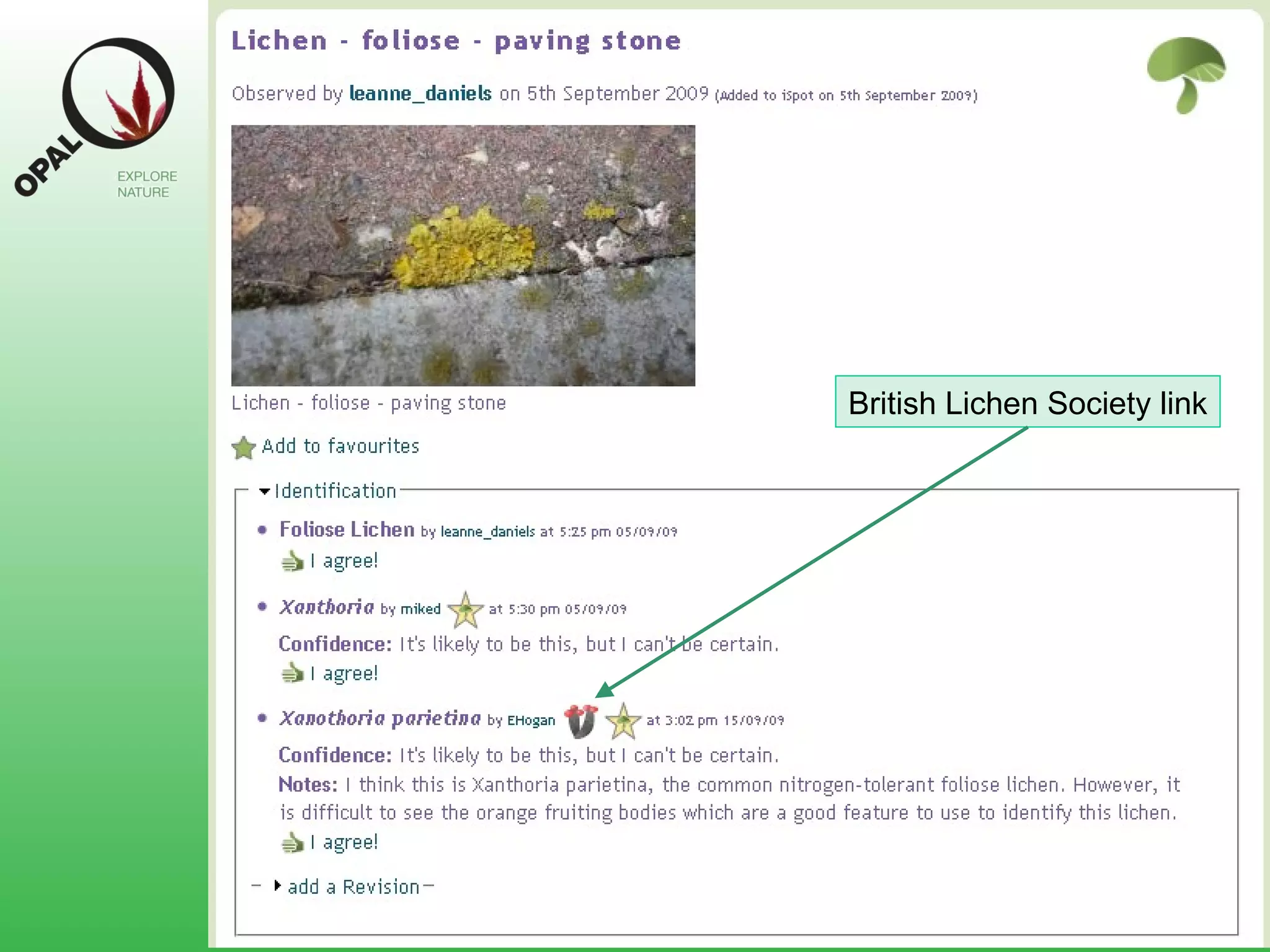 British Lichen Society link 