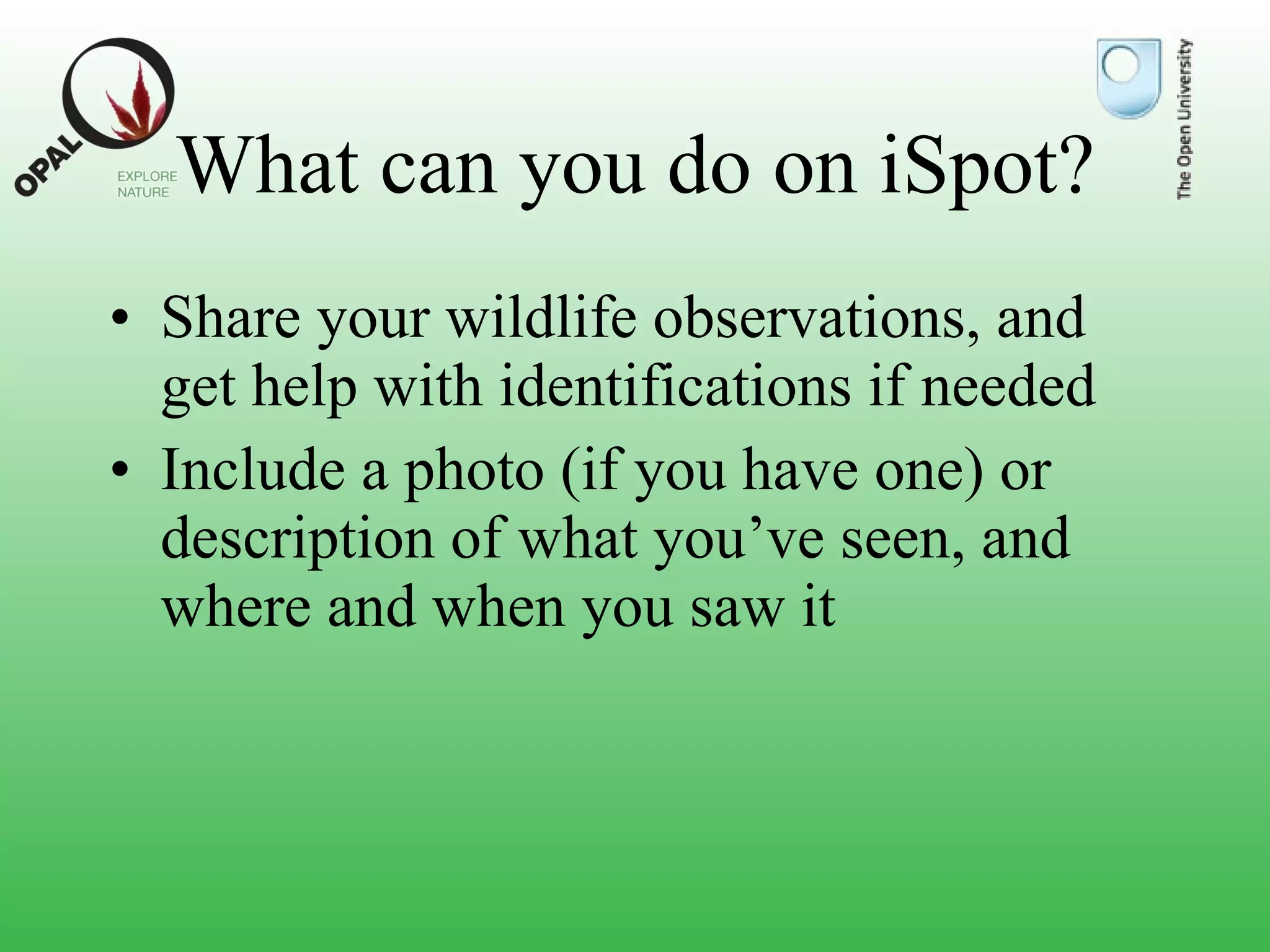 What can you do on iSpot? Share your wildlife observations, and get help with identifications if needed Include a photo (if you have one) or description of what you’ve seen, and where and when you saw it 