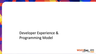 Developer	
  Experience	
  &	
  	
  
Programming	
  Model	
  
 