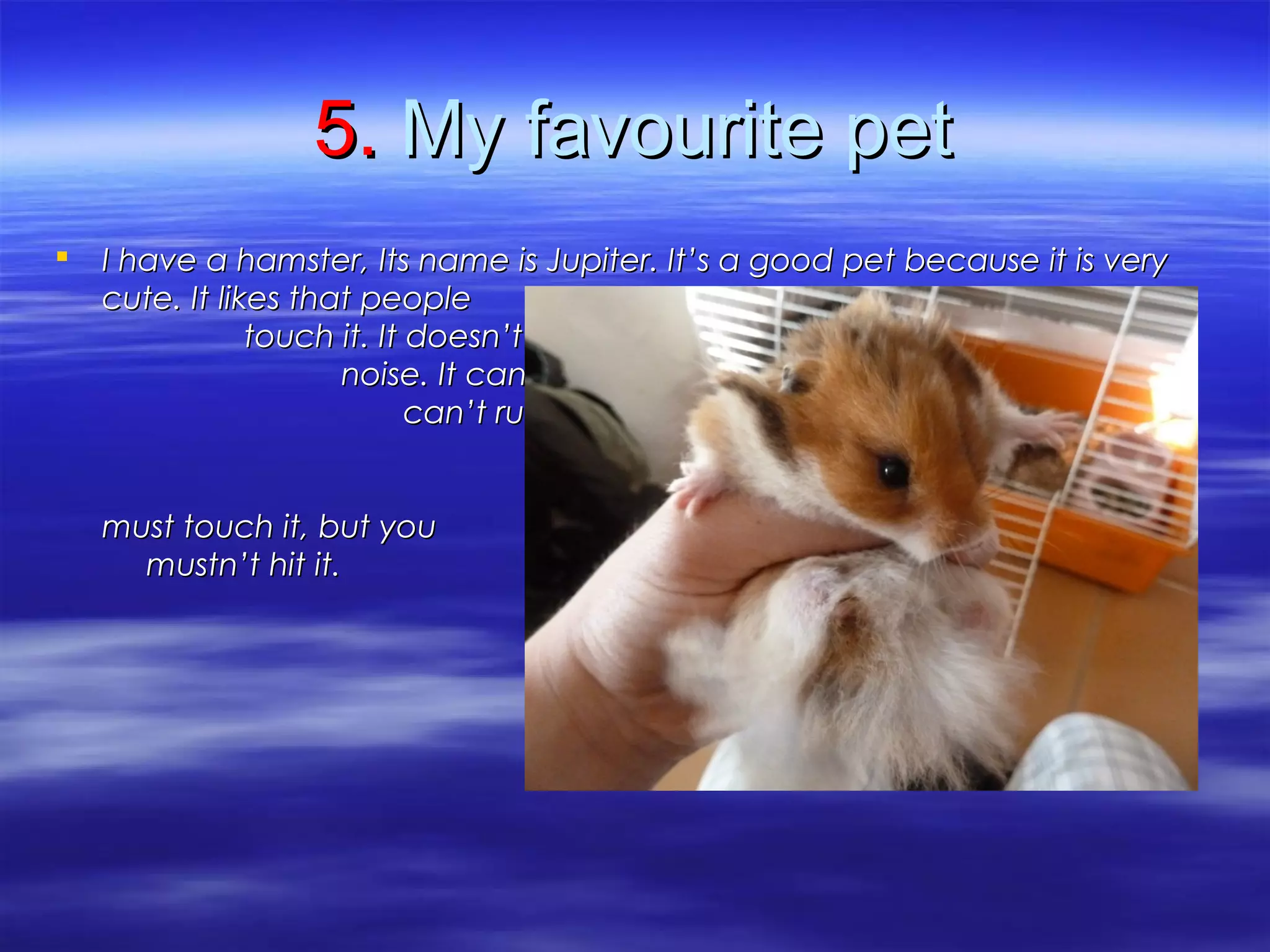 5.5. My favourite petMy favourite pet
 I have a hamster, Its name is Jupiter. It’s a good pet because it is veryI have a hamster, Its name is Jupiter. It’s a good pet because it is very
cute. It likes that peoplecute. It likes that people
touch it. It doesn’t liketouch it. It doesn’t like
noise. It can jump but itnoise. It can jump but it
can’t run very fast.can’t run very fast.
If you have got a hamsterIf you have got a hamster
youyou
must touch it, but youmust touch it, but you
mustn’t hit it.mustn’t hit it.
 
