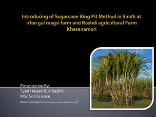 Introducing of Sugarcane Ring Pit Method in Sindh at irfangulmagsi farm and Rashdi agricultural Farm Khesanamori Presentation By: Syed Hassan Bux Rashdi MSc Soil Science Mobile: 03003095227, (Email: hassan_rashdi2006@yahoo.com) 