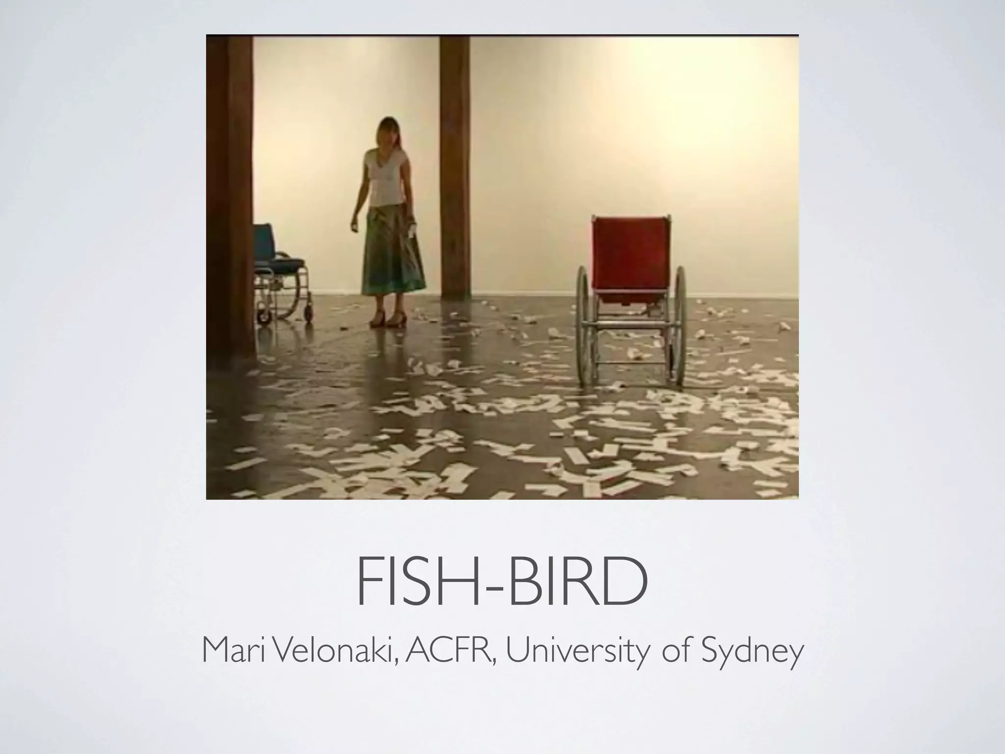 FISH-BIRD
Mari Velonaki, ACFR, University of Sydney
 