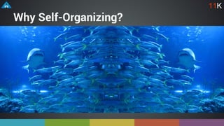 Why Self-Organizing?
11K
 
