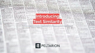 Romain Futrzynski / Peltarion / Stockholm
Introducing
Text Similarity
April / 2021
 