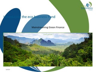 Insert picture
12/15/15 1
Introducing the eco.business Fund
Mainstreaming Green Finance
 