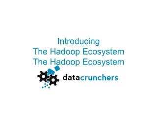 Introducing
The Hadoop Ecosystem
The Hadoop Ecosystem
 