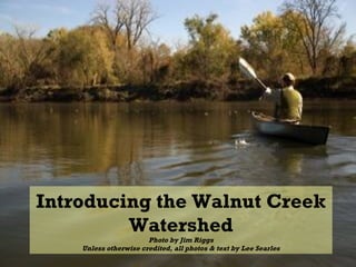 Introducing the Walnut Creek Watershed Photo by Jim Riggs Unless otherwise credited, all photos & text by Lee Searles 