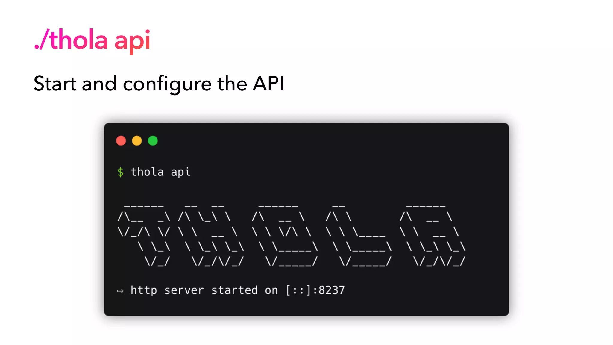 ./thola api
Start and con
fi
gure the API
 
