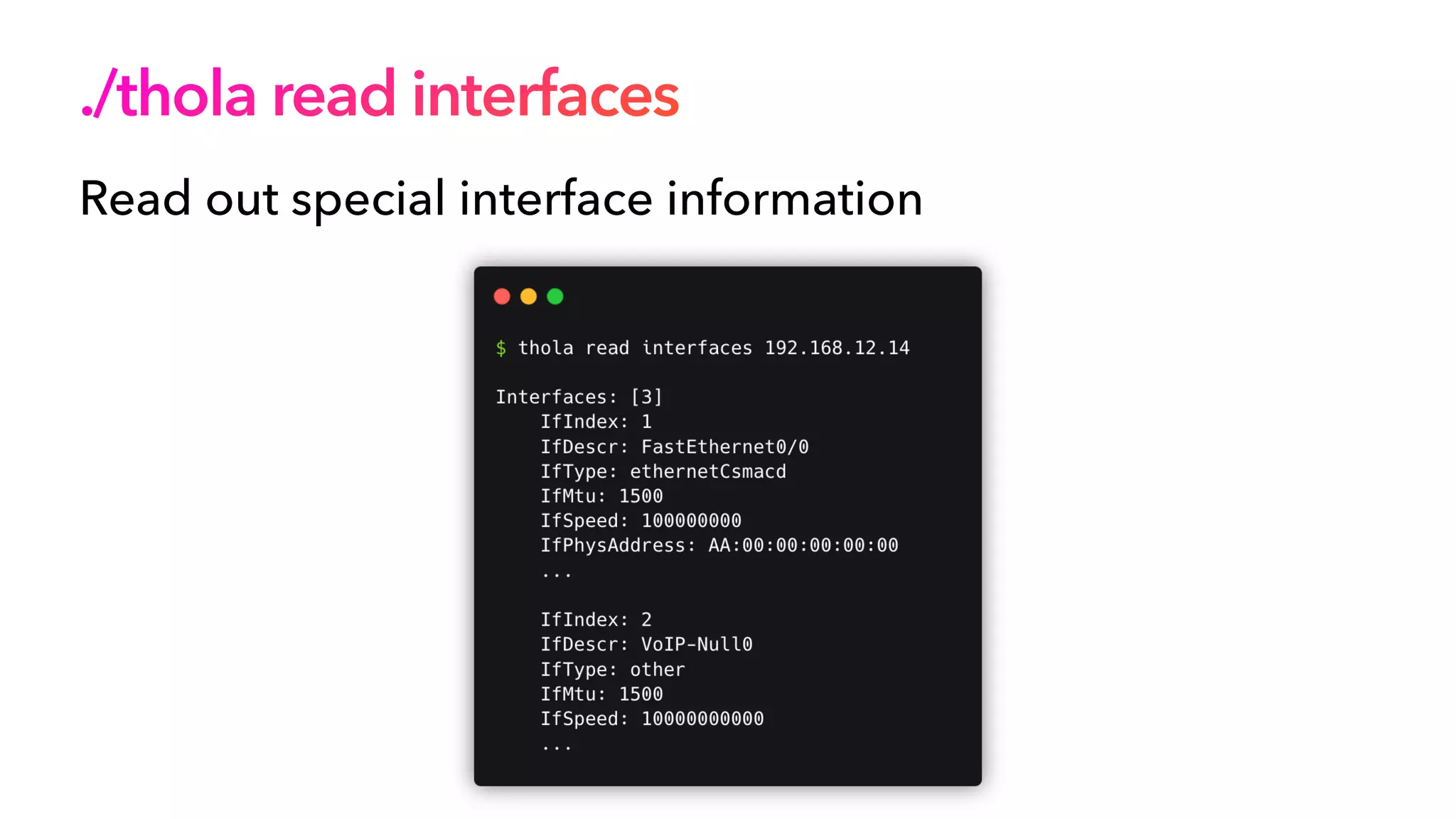 ./thola read interfaces
Read out special interface information
 