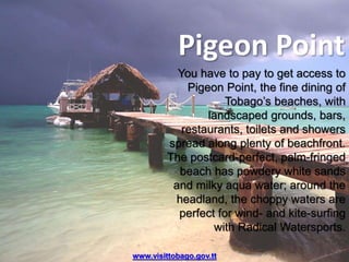 You have to pay to get access to
Pigeon Point, the fine dining of
Tobago’s beaches, with
landscaped grounds, bars,
restaurants, toilets and showers
spread along plenty of beachfront.
The postcard-perfect, palm-fringed
beach has powdery white sands
and milky aqua water; around the
headland, the choppy waters are
perfect for wind- and kite-surfing
with Radical Watersports.
Pigeon Point
www.visittobago.gov.tt
 