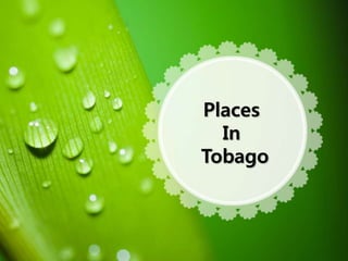 Places
In
Tobago
 