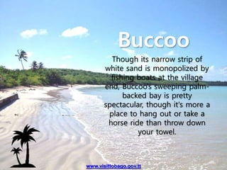 Though its narrow strip of
white sand is monopolized by
fishing boats at the village
end, Buccoo's sweeping palm-
backed bay is pretty
spectacular, though it's more a
place to hang out or take a
horse ride than throw down
your towel.
Buccoo
www.visittobago.gov.tt
 