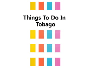 Things To Do In
Tobago
 
