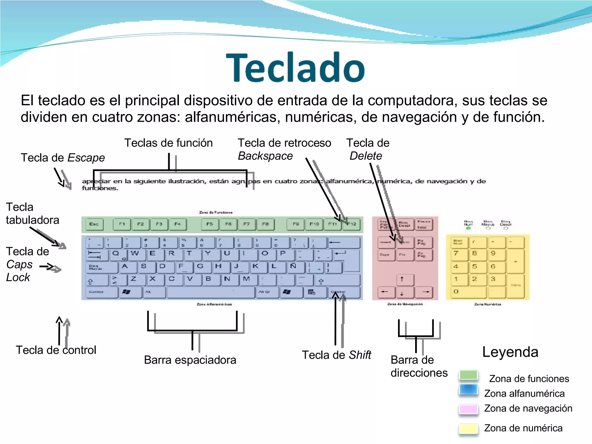 El teclado es el principal dispositivo de entrada de la computadora, sus teclas se dividen en cuatro zonas: alfanuméricas, numéricas, de navegación y de función. Leyenda Zona alfanumérica Zona de funciones Zona de navegación Zona de numérica Tecla de  Escape Tecla tabuladora Tecla de  Caps Lock Tecla de control Barra espaciadora Tecla de  Shift Barra de direcciones Tecla de Delete Tecla de retroceso  Backspace Teclas de función 