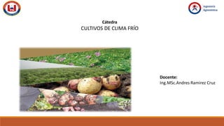 Cátedra
CULTIVOS DE CLIMA FRÍO
Docente:
Ing.MSc.Andres Ramirez Cruz
 