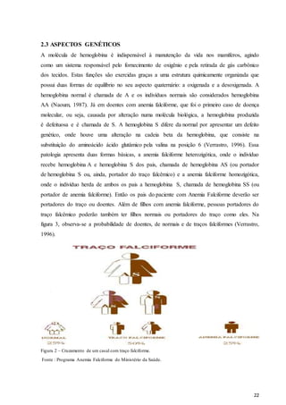 22
2.3 ASPECTOS GENÉTICOS
A molécula de hemoglobina é indispensável à manutenção da vida nos mamíferos, agindo
como um sistema responsável pelo fornecimento de oxigênio e pela retirada de gás carbônico
dos tecidos. Estas funções são exercidas graças a uma estrutura quimicamente organizada que
possui duas formas de equilíbrio no seu aspecto quaternário: a oxigenada e a desoxigenada. A
hemoglobina normal é chamada de A e os indivíduos normais são considerados hemoglobina
AA (Naoum, 1987). Já em doentes com anemia falciforme, que foi o primeiro caso de doença
molecular, ou seja, causada por alteração numa molécula biológica, a hemoglobina produzida
é defeituosa e é chamada de S. A hemoglobina S difere da normal por apresentar um defeito
genético, onde houve uma alteração na cadeia beta da hemoglobina, que consiste na
substituição do aminoácido ácido glutâmico pela valina na posição 6 (Verrastro, 1996). Essa
patologia apresenta duas formas básicas, a anemia falciforme heterozigótica, onde o indivíduo
recebe hemoglobina A e hemoglobina S dos pais, chamada de hemoglobina AS (ou portador
de hemoglobina S ou, ainda, portador do traço falcêmico) e a anemia falciforme homozigótica,
onde o indivíduo herda de ambos os pais a hemoglobina S, chamada de hemoglobina SS (ou
portador de anemia falciforme). Então os pais do paciente com Anemia Falciforme deverão ser
portadores do traço ou doentes. Além de filhos com anemia falciforme, pessoas portadores do
traço falcêmico poderão também ter filhos normais ou portadores do traço como eles. Na
figura 3, observa-se a probabilidade de doentes, de normais e de traços falciformes (Verrastro,
1996).
Figura 2 – Cruzamento de um casal com traço falciforme.
Fonte : Programa Anemia Falciforme do Ministério da Saúde.
 