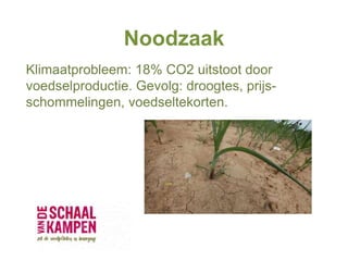 Noodzaak
Klimaatprobleem: 18% CO2 uitstoot door
voedselproductie. Gevolg: droogtes, prijs-
schommelingen, voedseltekorten.
 