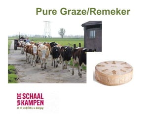 Pure Graze/Remeker
 